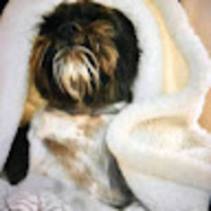 Meet your Posher, Gina